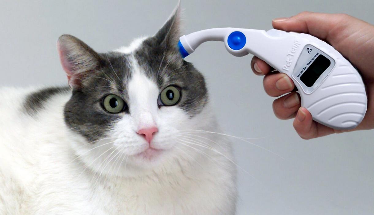 Thermometers Review - by Dr. Shadi Ireifej at Pet Pro Supply Co.