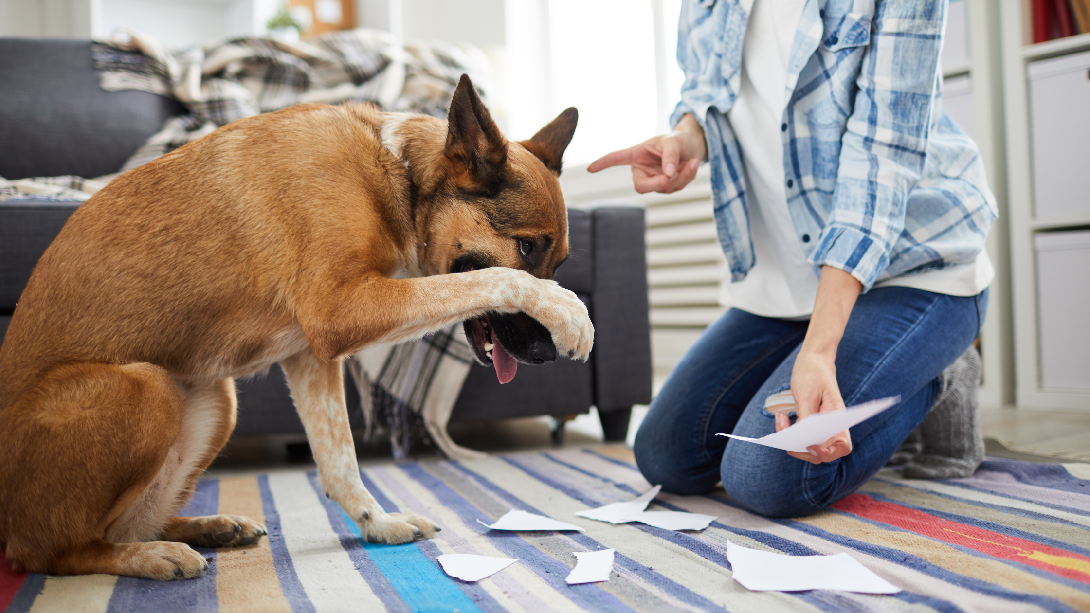 Understanding Pet Behavior: Decoding Signs and Strengthening the Bond