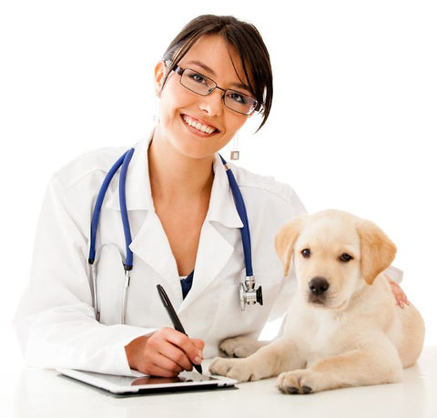 Veterinary Supplies and Equipment