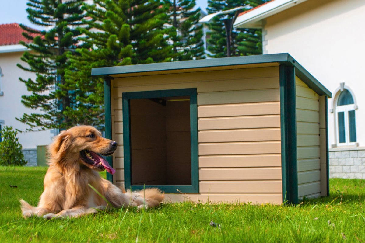 Kennel Accessories Dog House Tiny Modular Beds Ramp Dog House