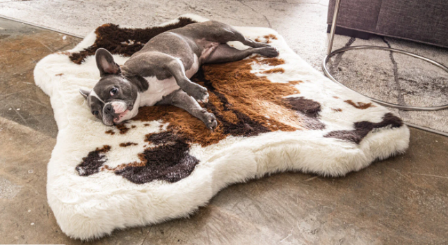 Dog bed that clearance looks like a rug