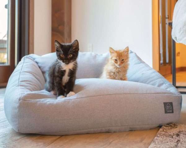 4Catsndogs Loafer Sofa Bed