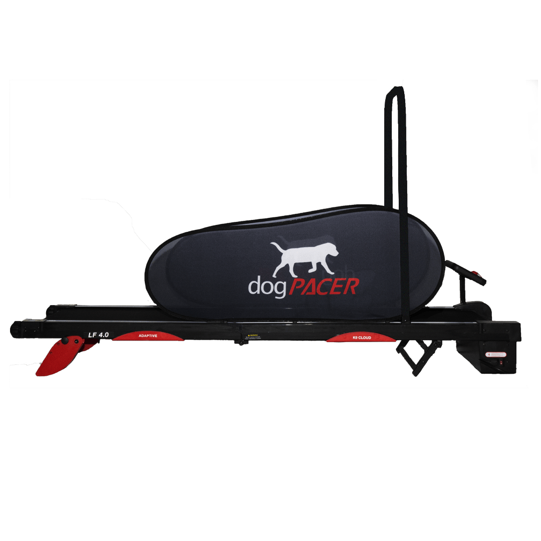 dogPACER LF 3.1 Dog Treadmill, for dogs up to 179 lbs DP-LF31