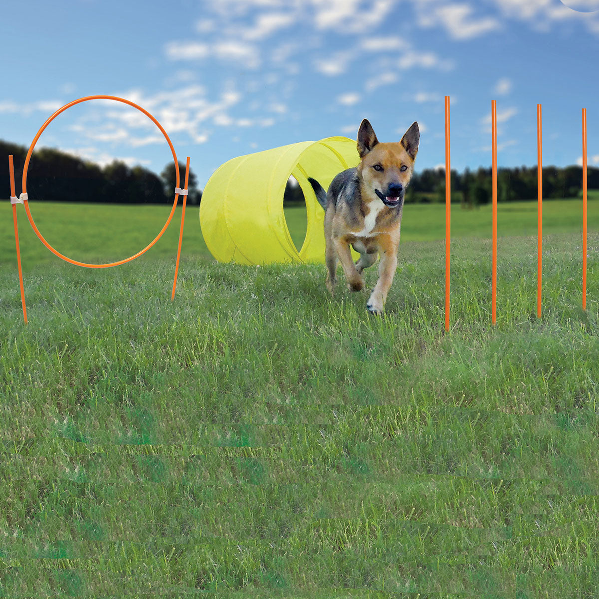 pet agility tunnel dog outdoor games