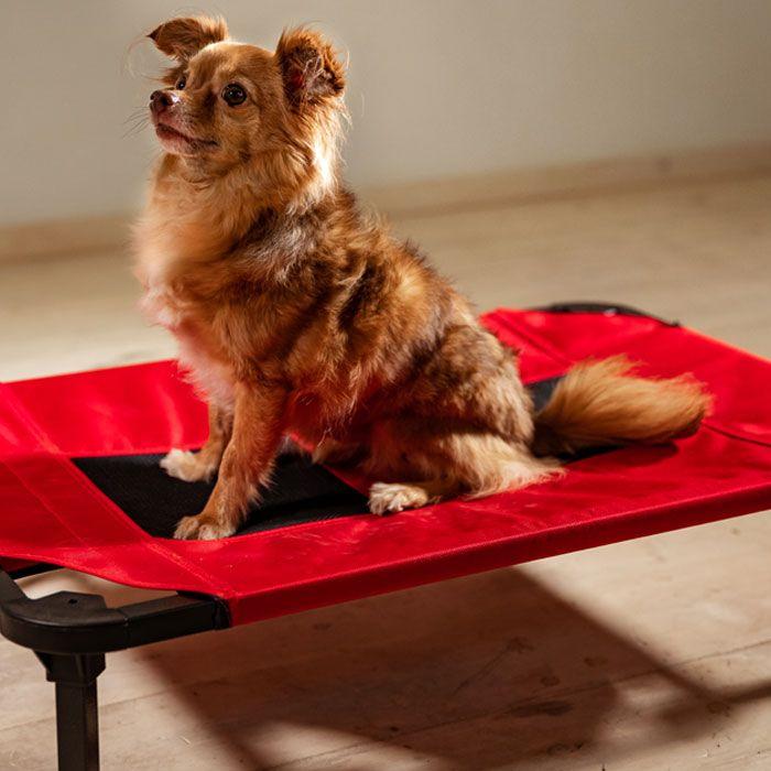 Lucky Dog Comfort Cot