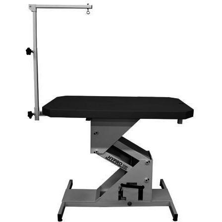 Edemco F975000 HyPro Hydraulic Grooming Table with Grooming Swing Arm