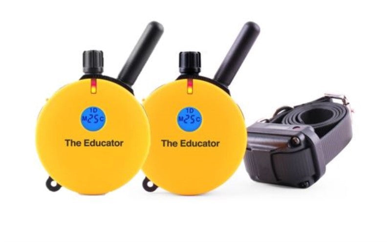 The educator shock outlet collar