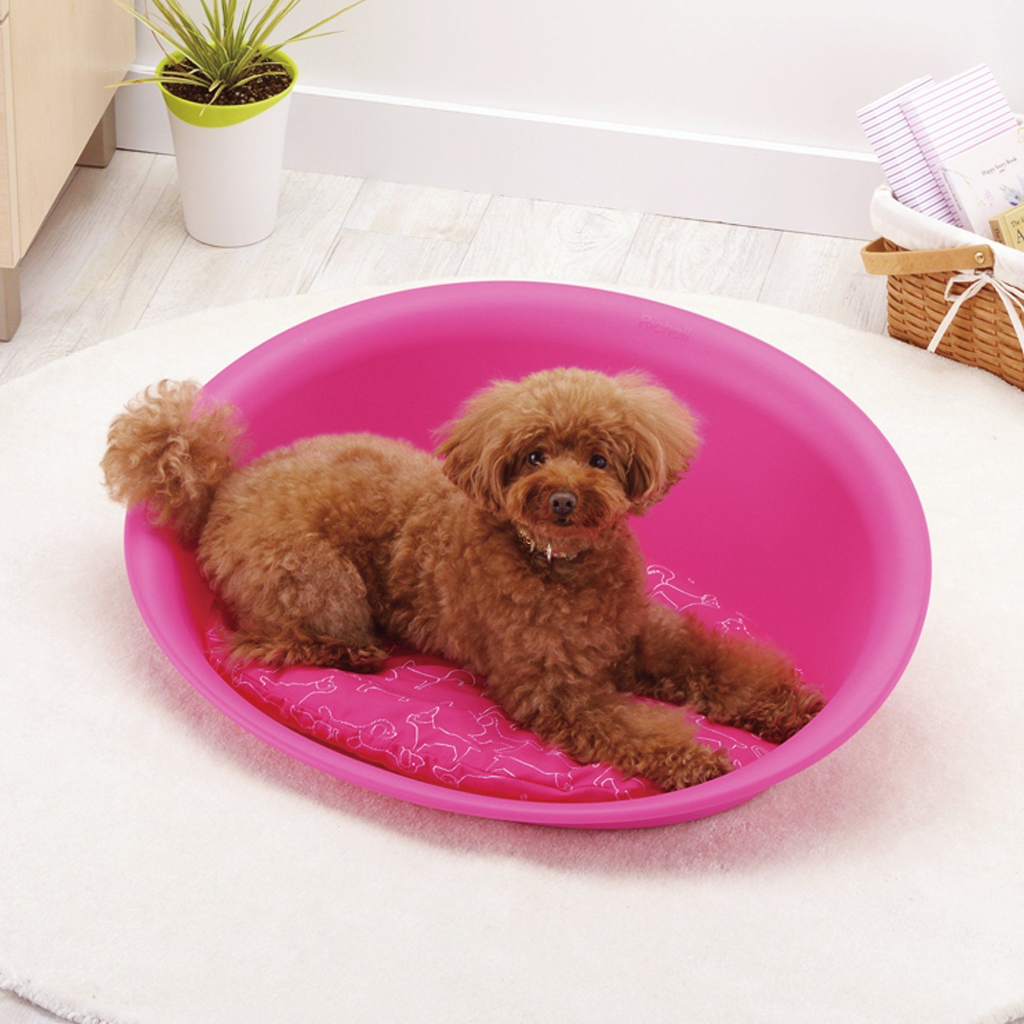 Richell Oval Plastic Pet Bed