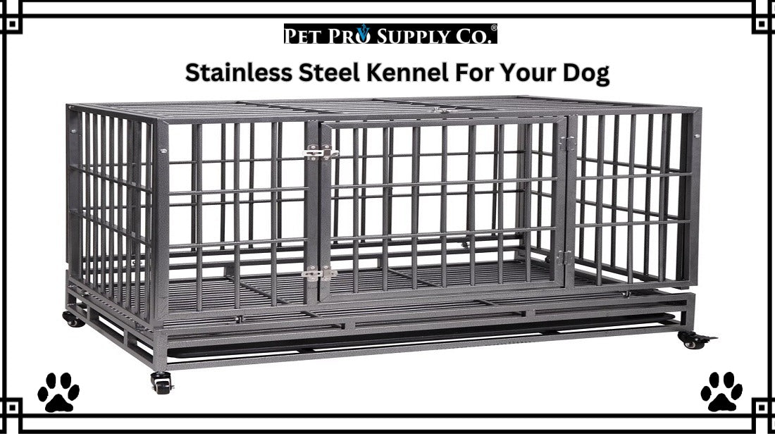 How to Choose the Right Size Stainless Steel Kennel for Your Dog