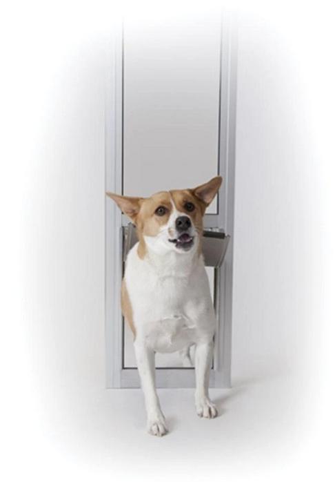 Dog doors at Pet Pro Supply Co.