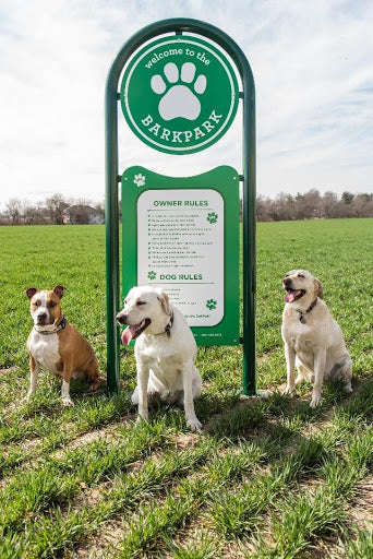 How to Maintain Your Dog Park