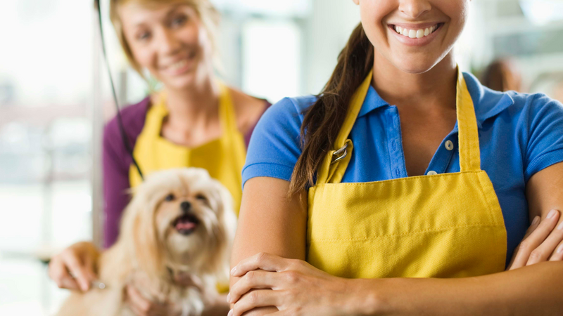 How to Find a Good Pet Groomer: Your Furry Friend Deserves the Best!
