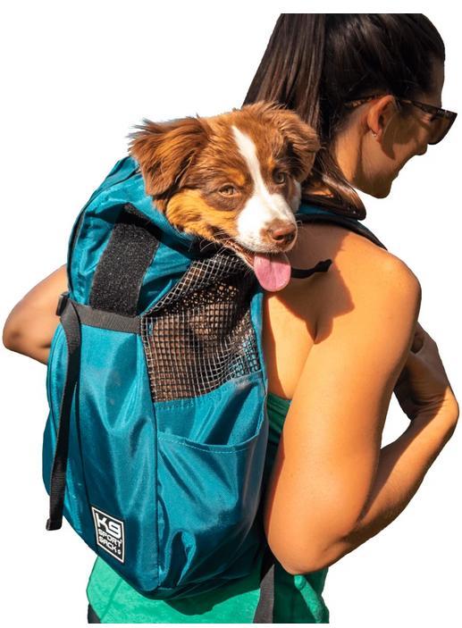 Outdoor Gear for Dogs