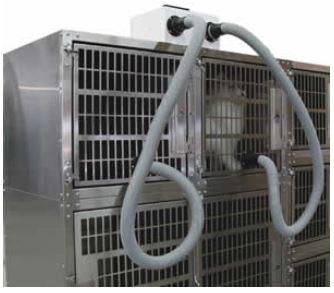 Cage Dryers for Groomers