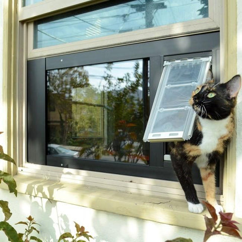 Window Mounted Pet Doors