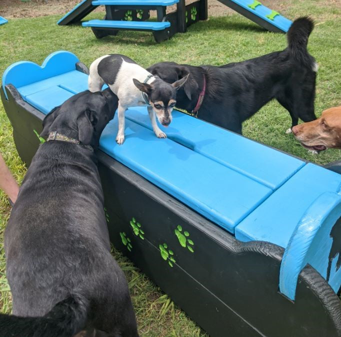 Puppy Scapes Seat / Toy Storage Container