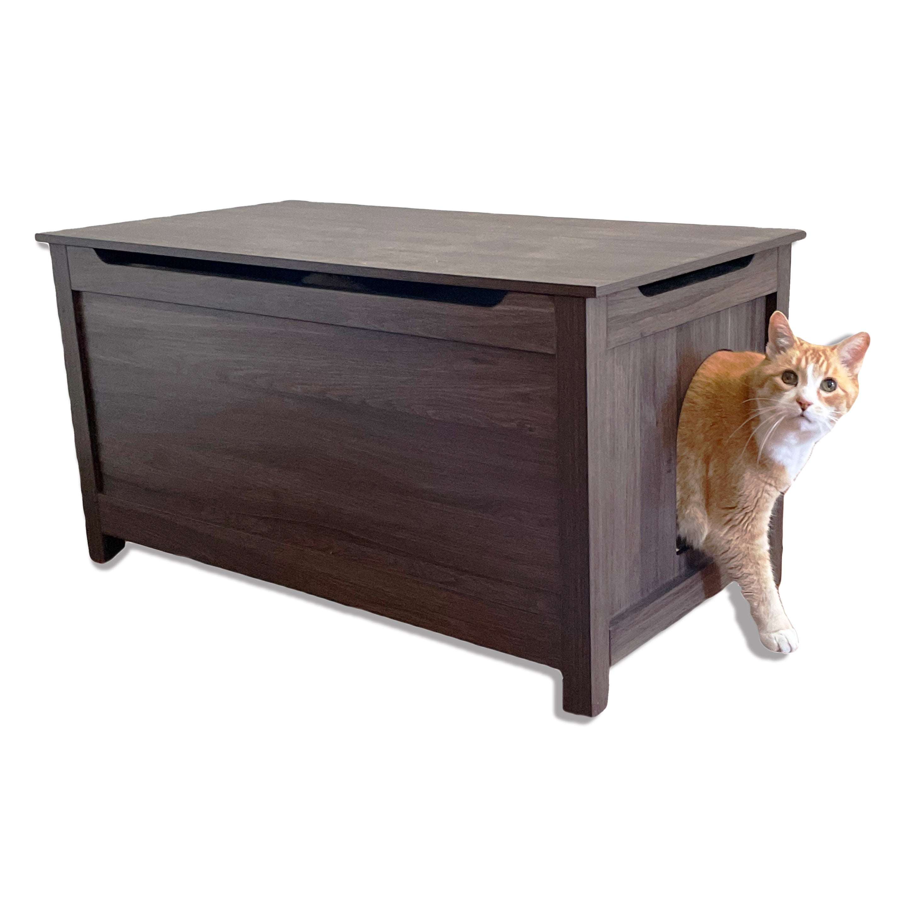 Designer Pet Products Parker Catbox Litter Box Enclosure in Oak
