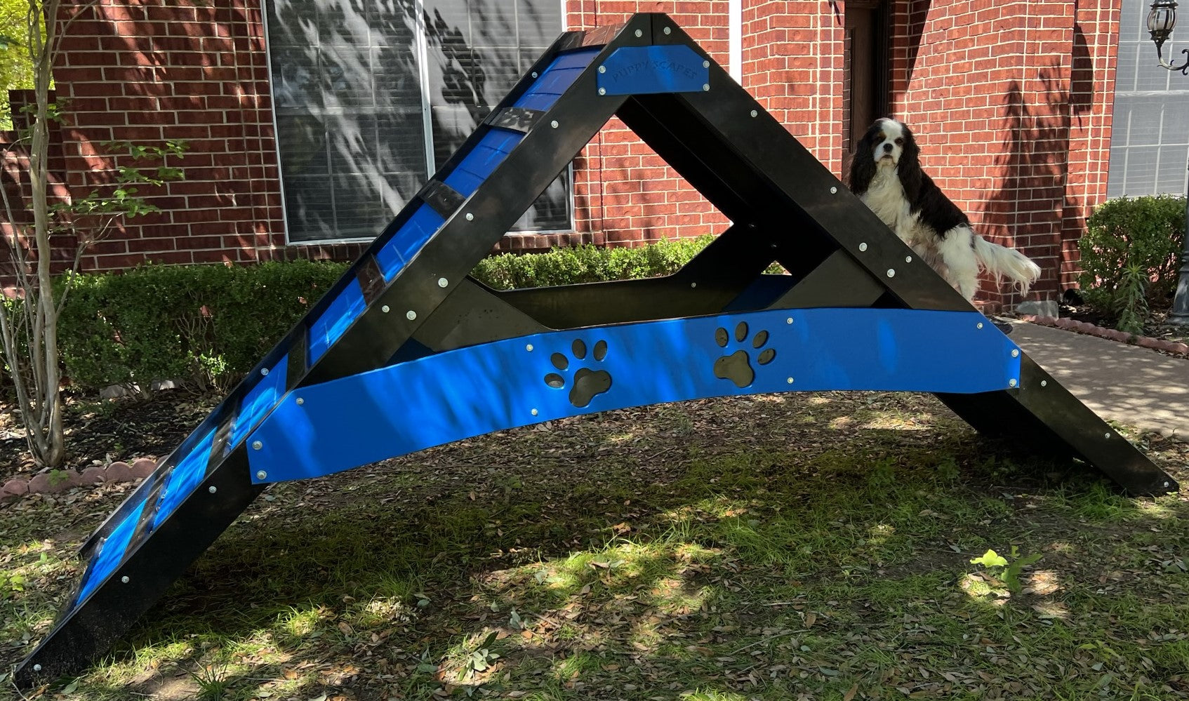 Puppy Scapes A-Frame in HDPE