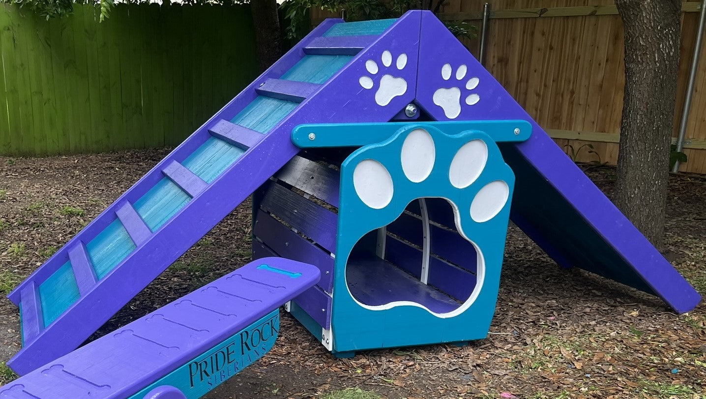 Puppy Scapes A-Frame with Tunnel