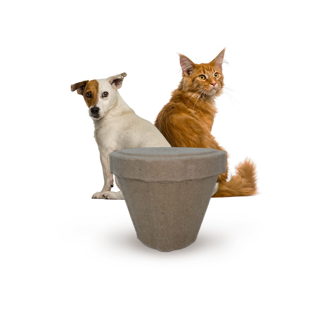 B Remembered - Plantable Pet Urn