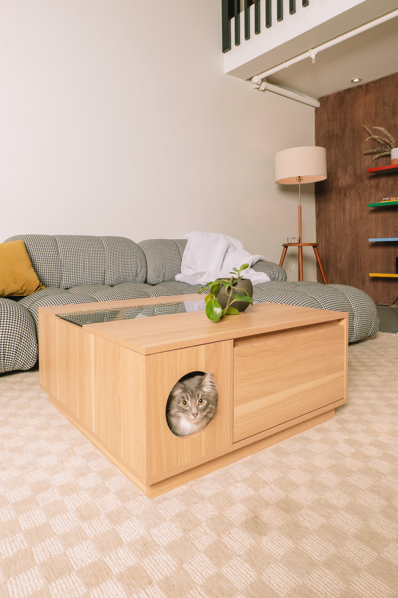 4Catsndogs Coffee Table - Coco