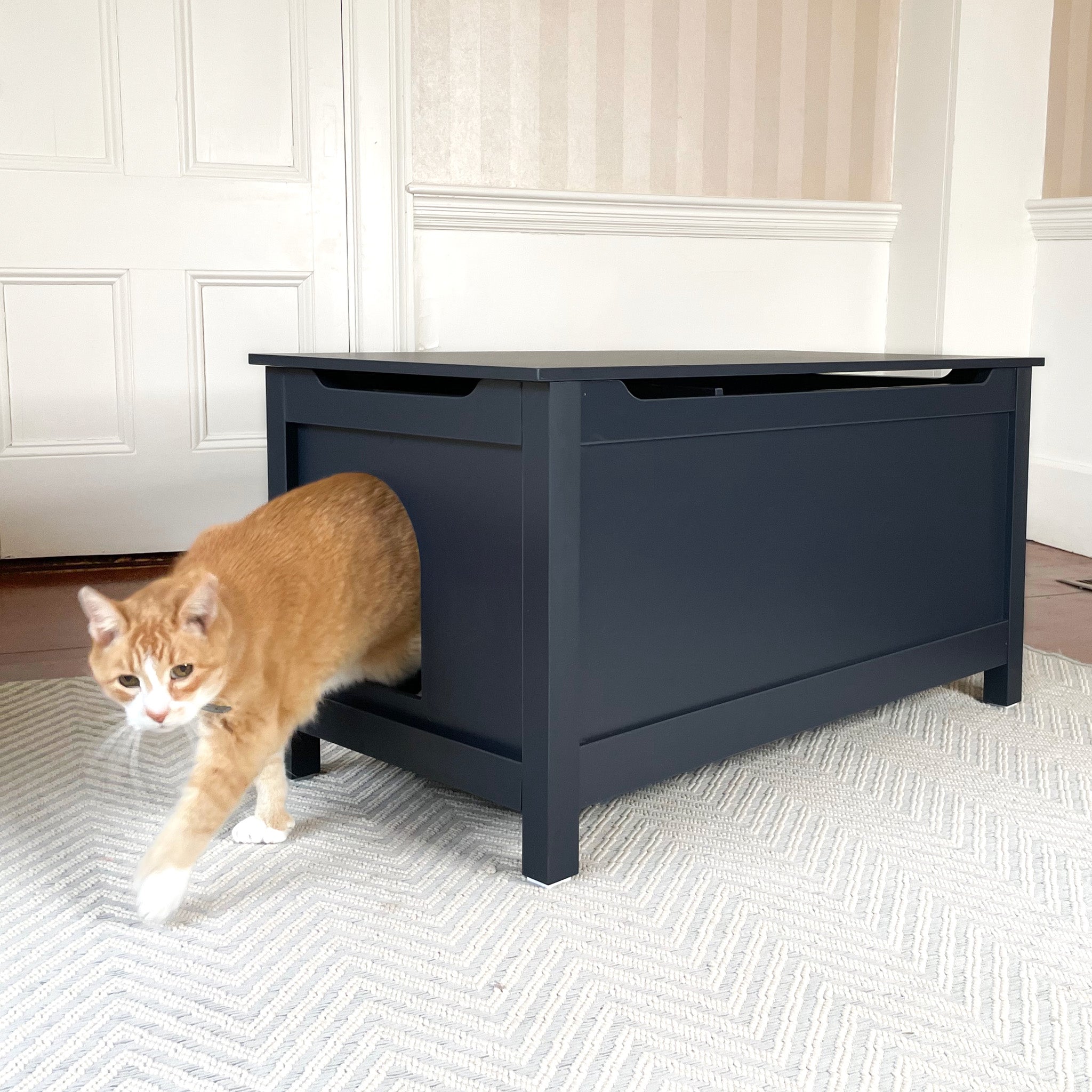 Parker Designer Catbox Cat Litter Box Enclosure, Hidden Dog-Proof Pet Furniture with Cover, Elegant Covered Odor Contained for Large Cats, Cat Litter Box Furniture With Lid, Cat Litter Boxes, Charcoal