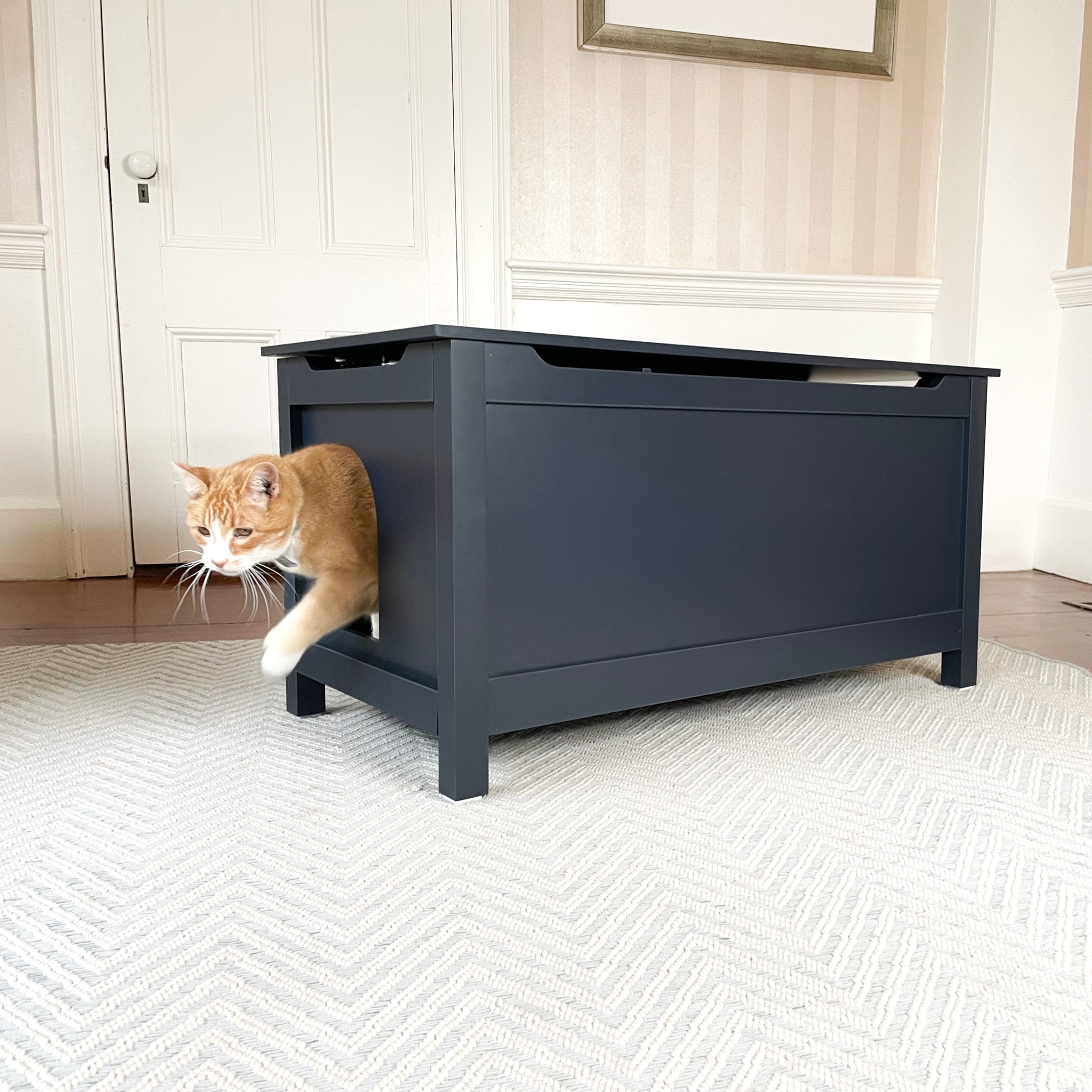 Designer Pet Products Parker Catbox Litter Box Enclosure in Charcoal Black