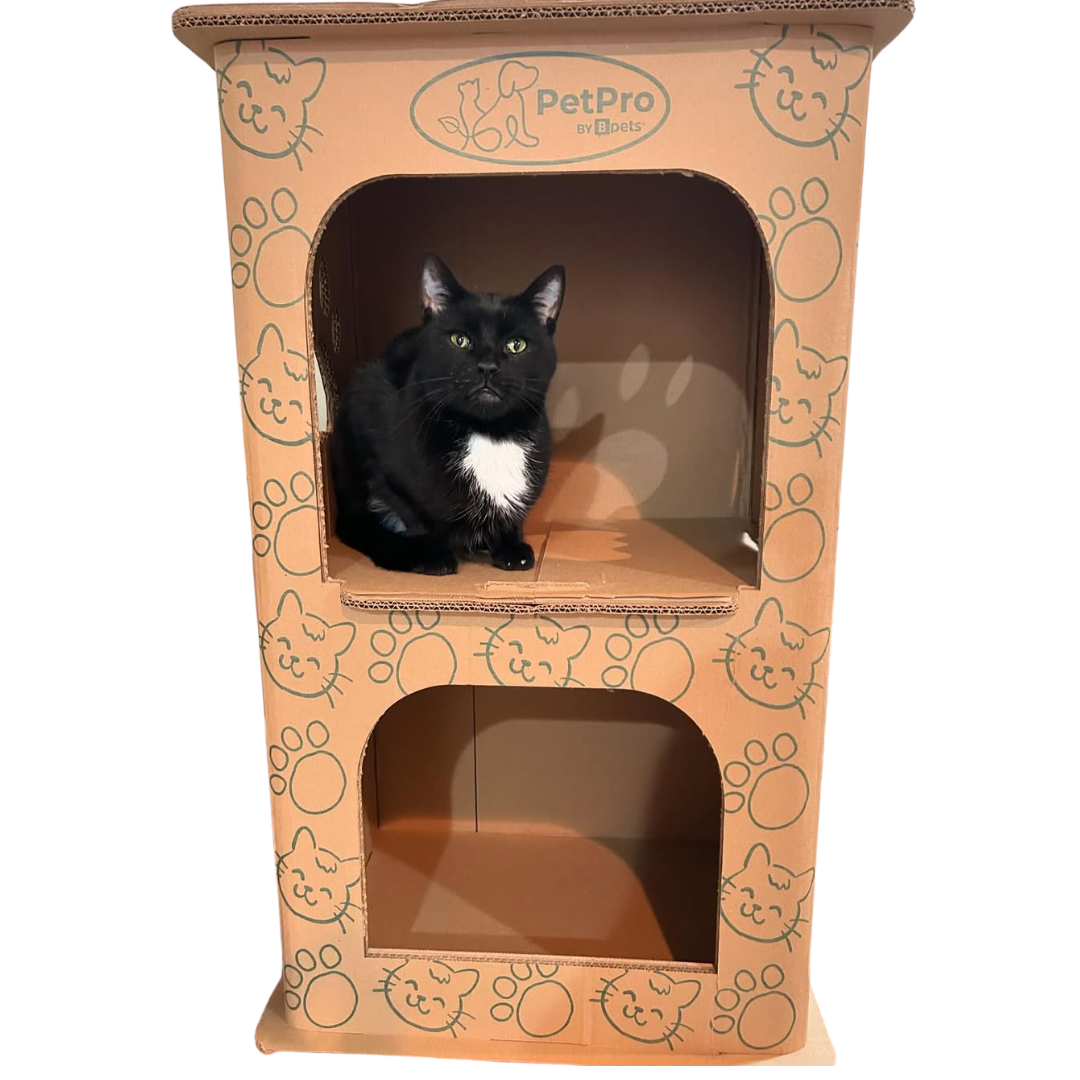 PetPro 2-Floor Cat House - Cardboard Condo for Cats with 15.7 x 20 x 32.6 Inches Dimensions, Durable Material, Easy Assembly, Safe for Pets