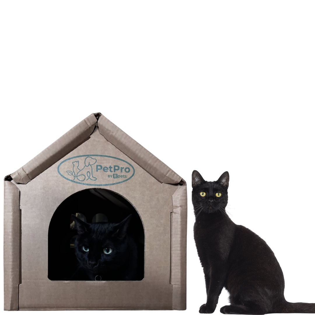 Cardboard Cat House - Small Design for Indoor Cats and Rabbits, Ideal for Small Living Spaces