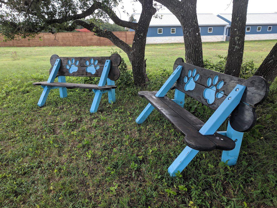 Puppy Scapes Bench