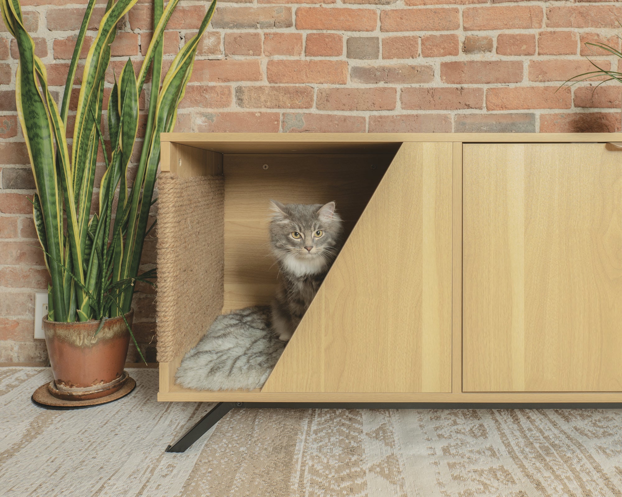 4catsndogs Pet Cabinet - Jessie