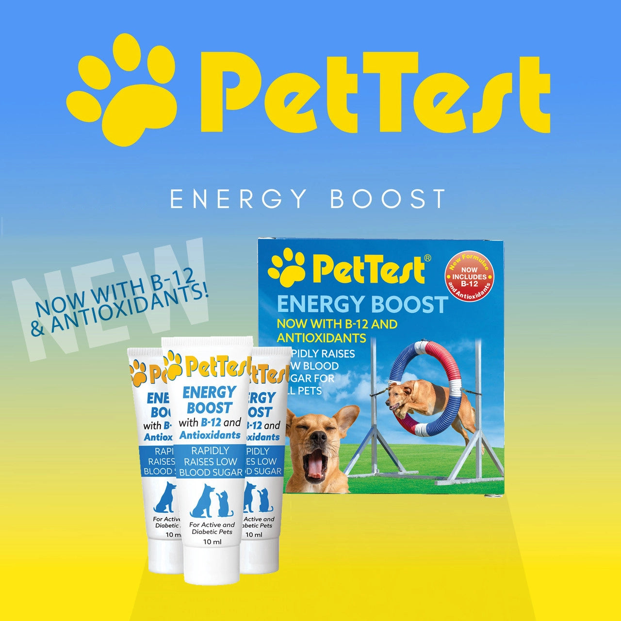 Energy Boost for Pets (NOW with B-12 and Antioxidants)