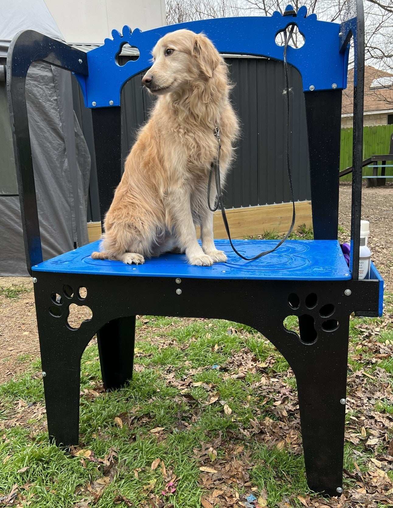 Puppy Scapes Washing Grooming station HDPE