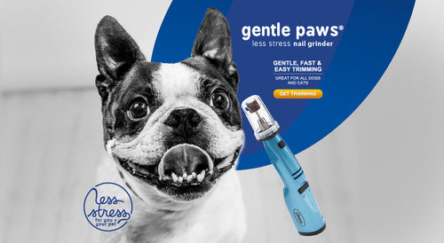 Oster Gentle Paws Nail Grinder - Blue