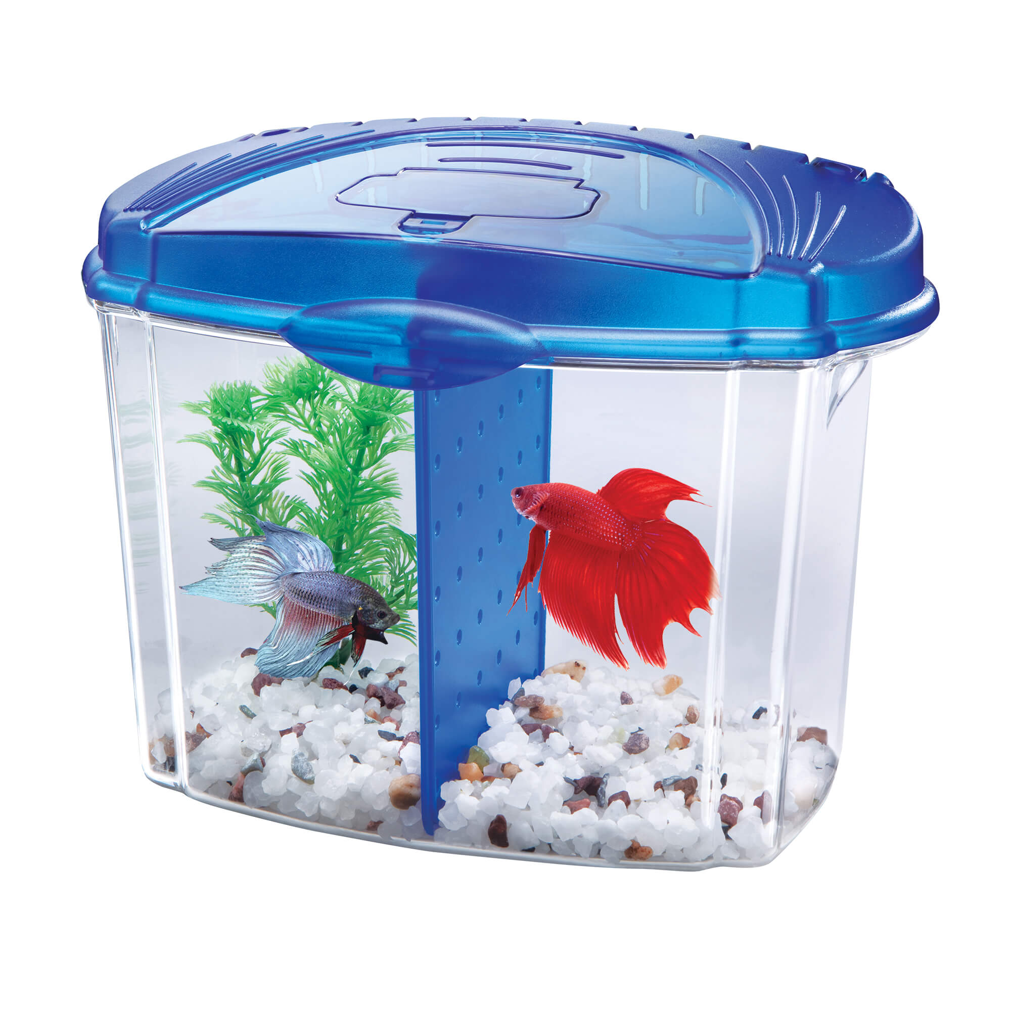 Aqueon Betta Bowl Aquarium Kit Blue 9.1″ x 5.1″ x 7.2″