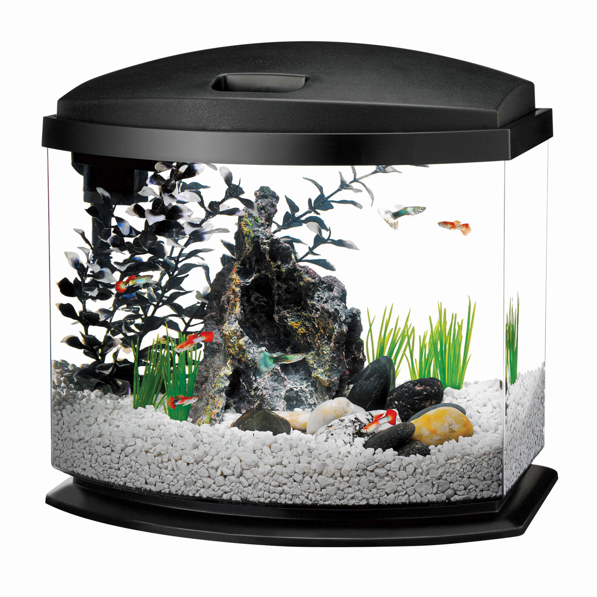 Aqueon MiniBow LED Aquarium Kit 1 Gallon Black