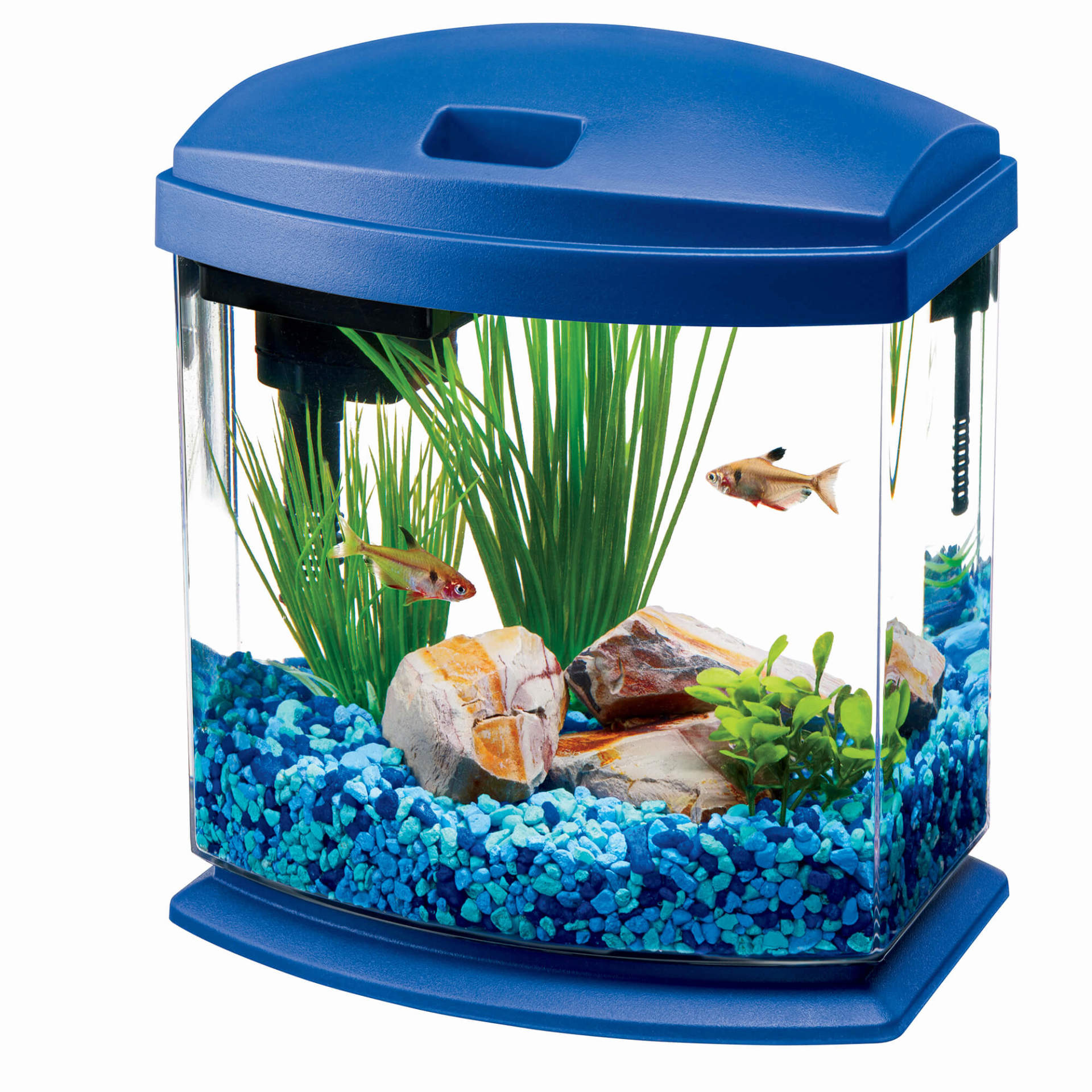 Aqueon MiniBow LED Aquarium Kit 1 Gallon
