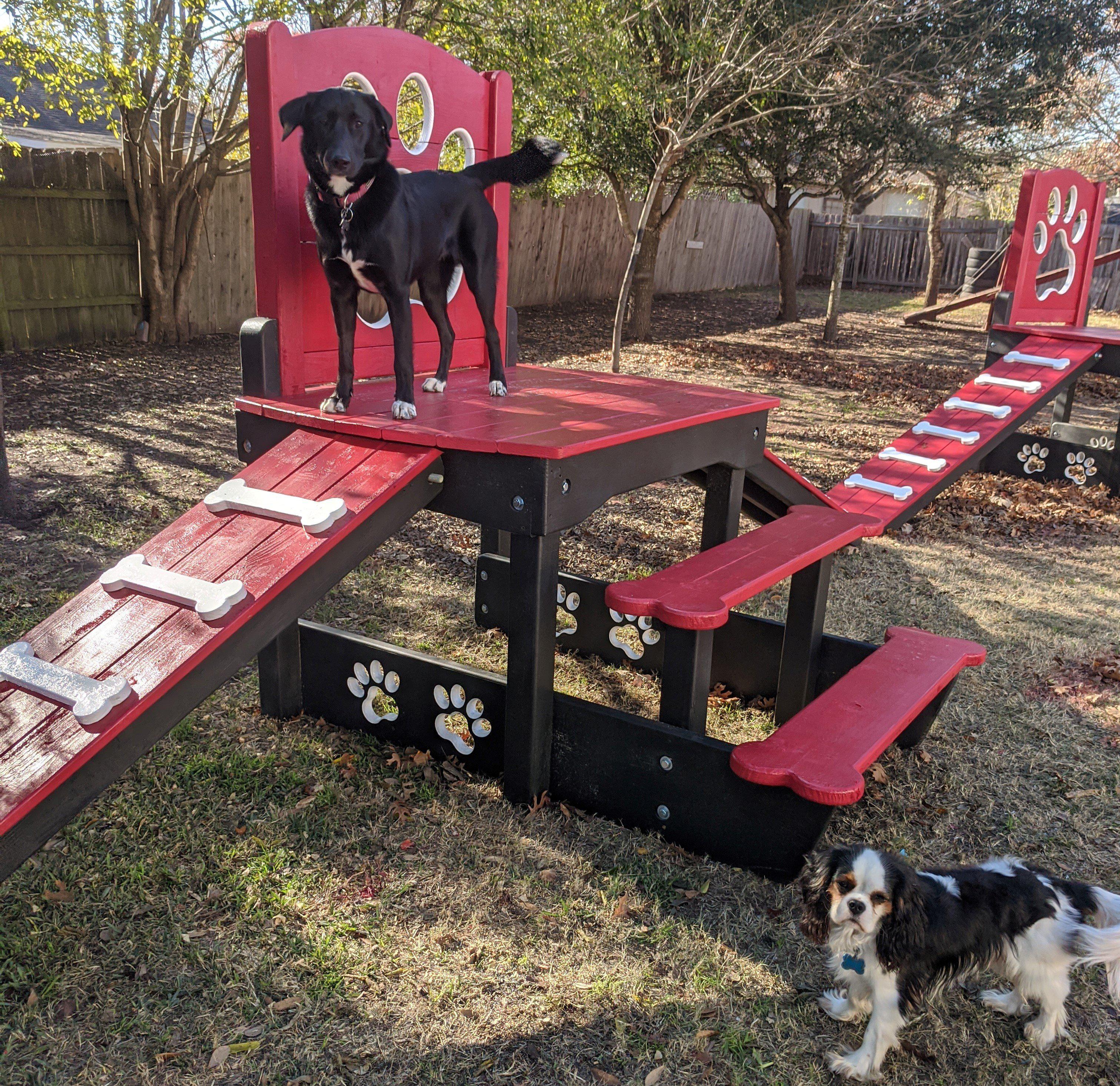 Puppy Scapes Double Ramp w/ Paw Print