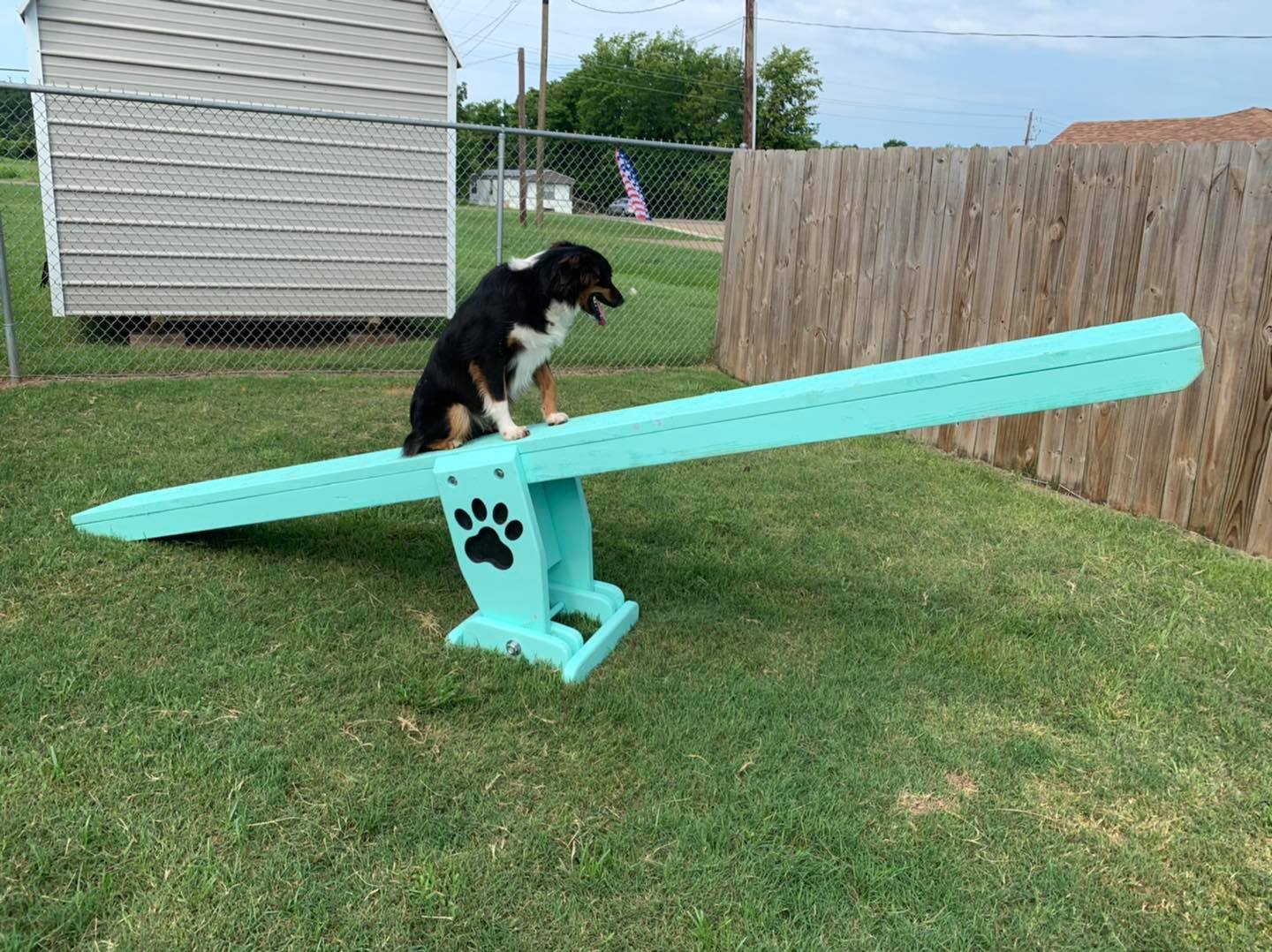 Puppy Scapes See-saw (teeter totter)