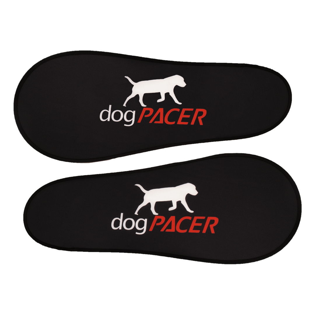 dogPACER 4.0