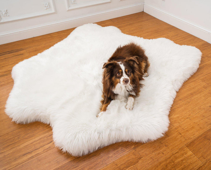 Paw Brands PupRug™ Animal Print Memory Foam Dog Bed