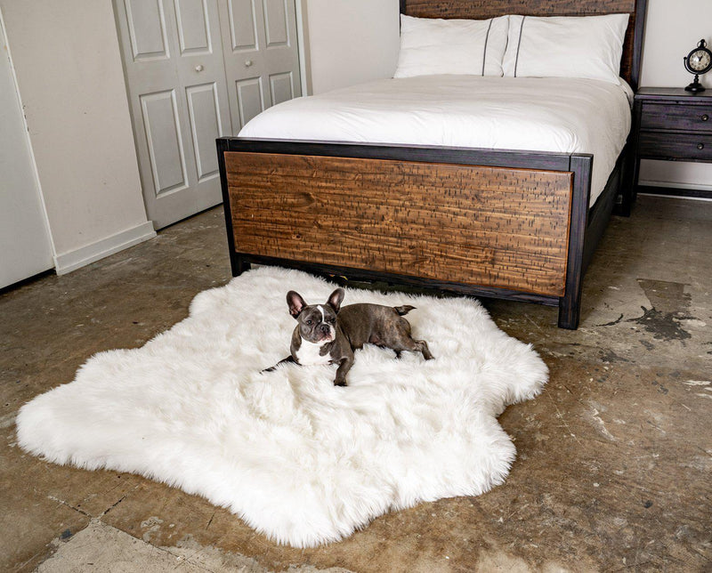 Paw Brands PupRug™ Animal Print Memory Foam Dog Bed