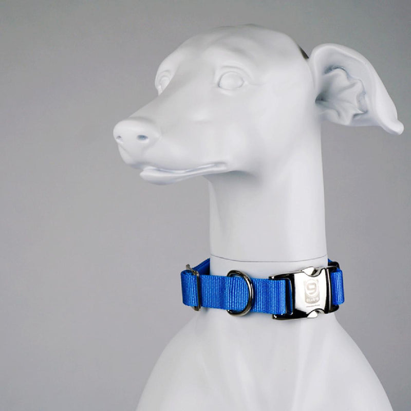 Blue-9 Secure Pro Dog Collar
