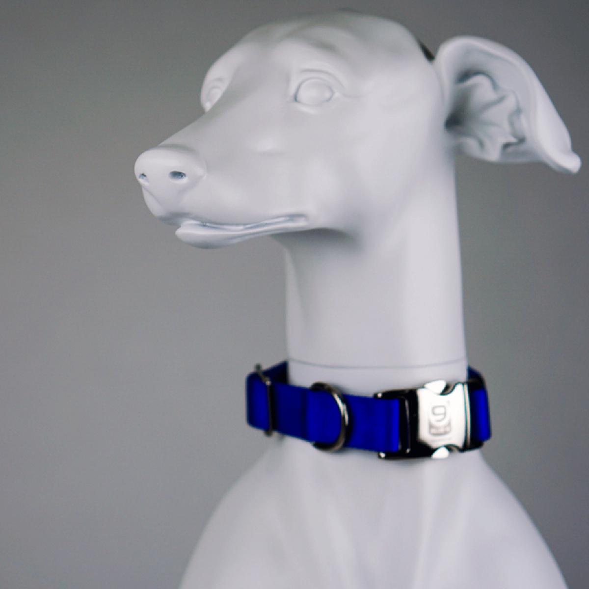 Blue-9 Secure Pro Dog Collar