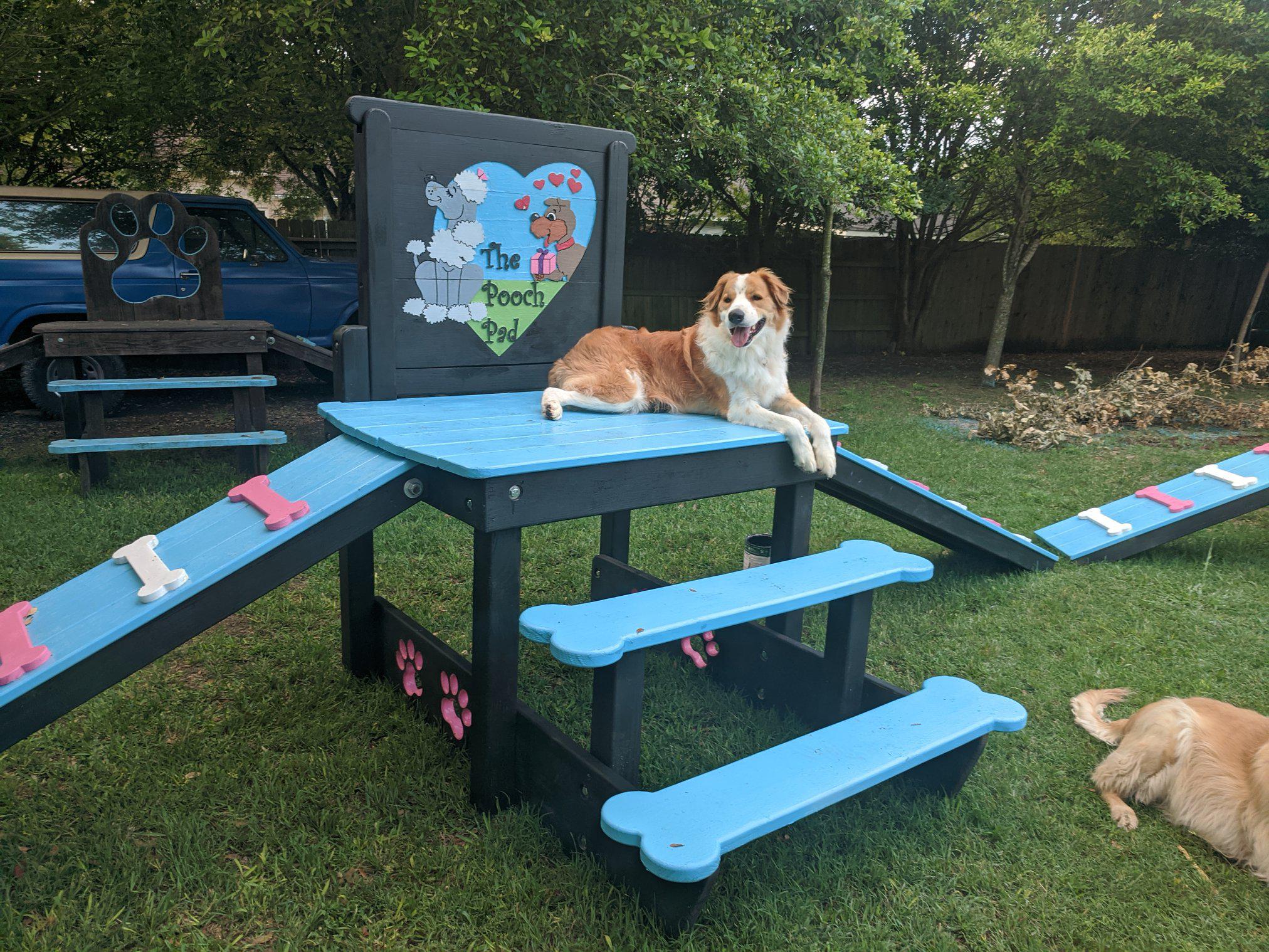 Puppy Scapes Double Ramp w/ Your Logo