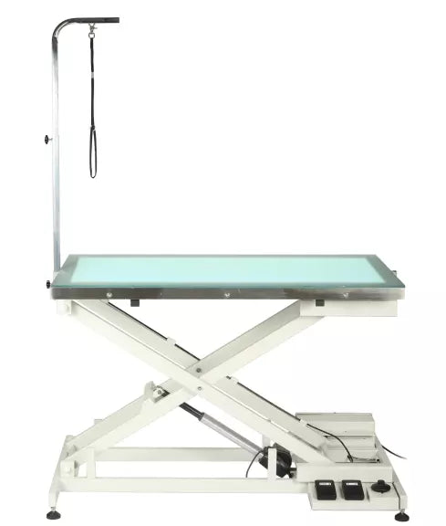 Aeolus LED Electric Lift Grooming Table
