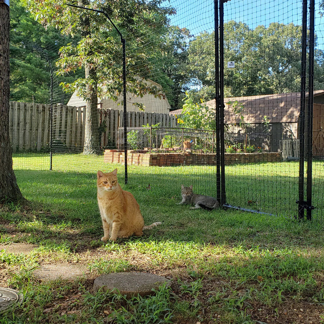 Purrfect Fence Free-Standing Cat Fence Enclosure System - 100 ft