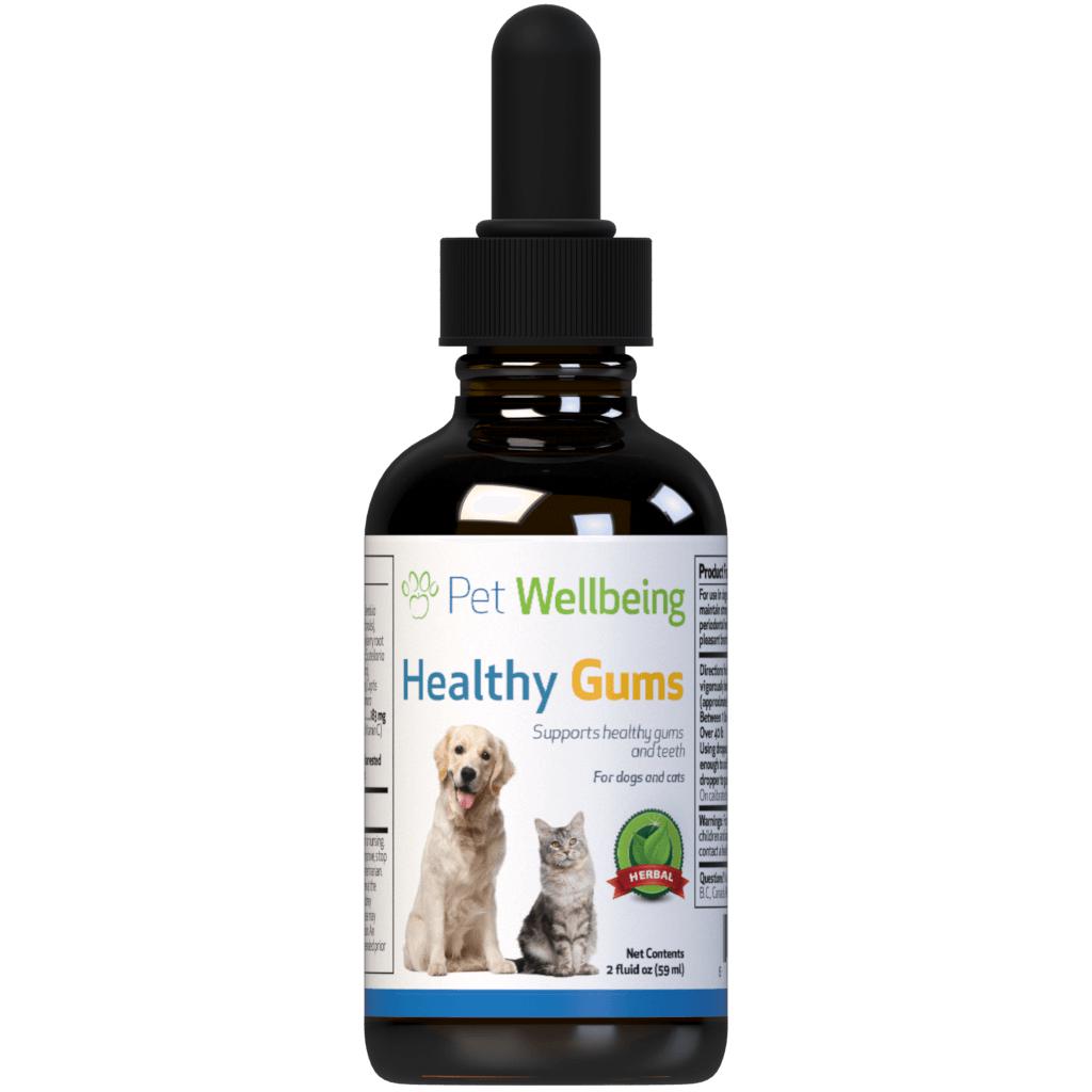 Pet Wellbeing Healthy Gums for Feline Periodontal Health