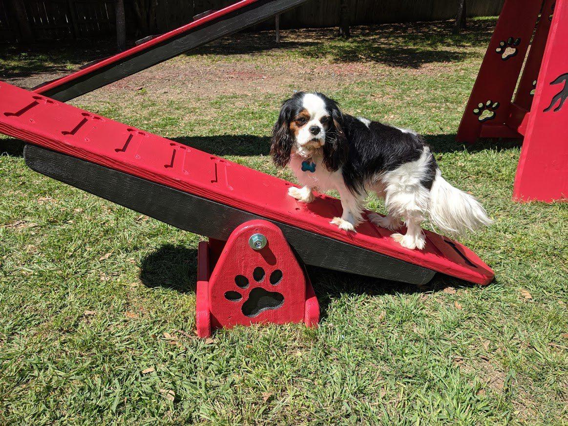 Puppy Scapes Mini See-saw (teeter totter)