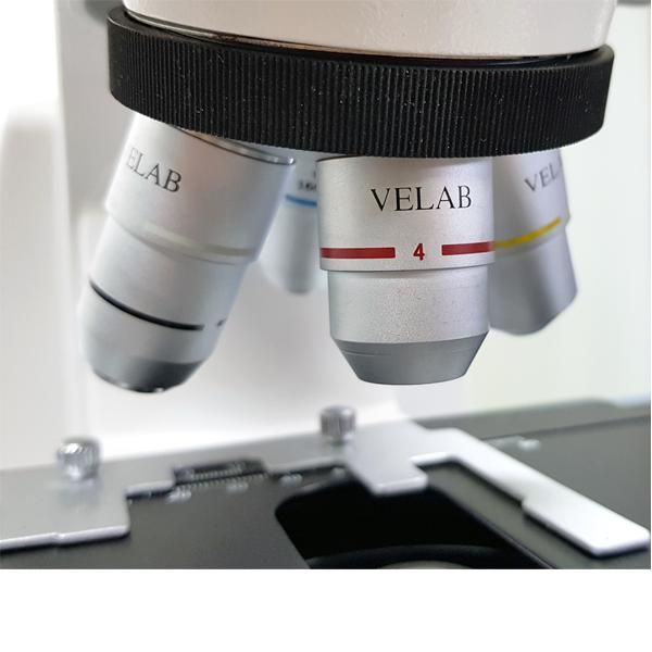 VELAB Basic Binocular Microscope Siedentopf Type